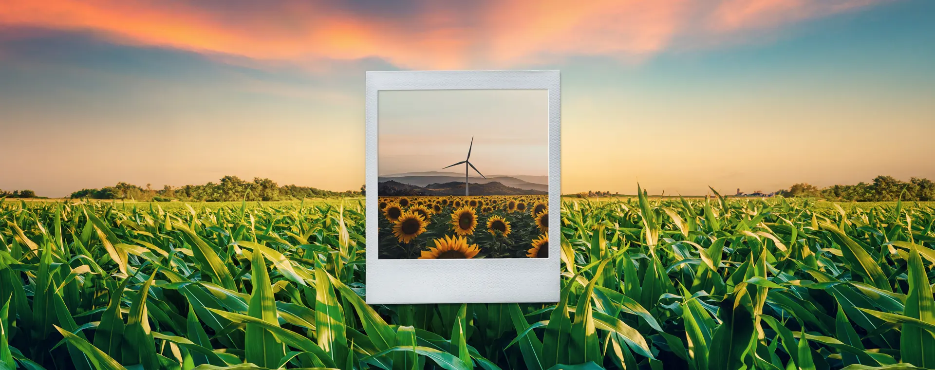 NOI significa affrontare il presente e renderlo futuro