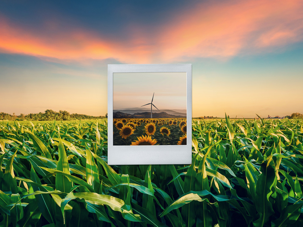 NOI significa affrontare il presente e renderlo futuro